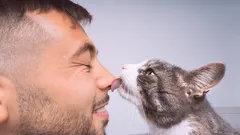 Tajemství kočičí něžnosti: Proč kočky olizují majitelům hlavu