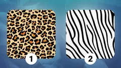 Srdce, nebo rozum: Vyberte vzor a zjistěte, co vás doopravdy ovládá